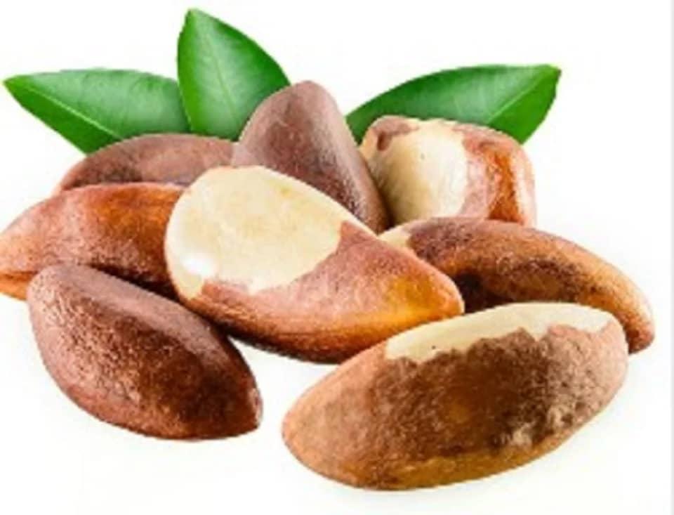 1KG Dried Raw Loose Natural Brazilian Nuts Bertholletia Excelsa Brazil Nut for Food Whatsap +255787979235