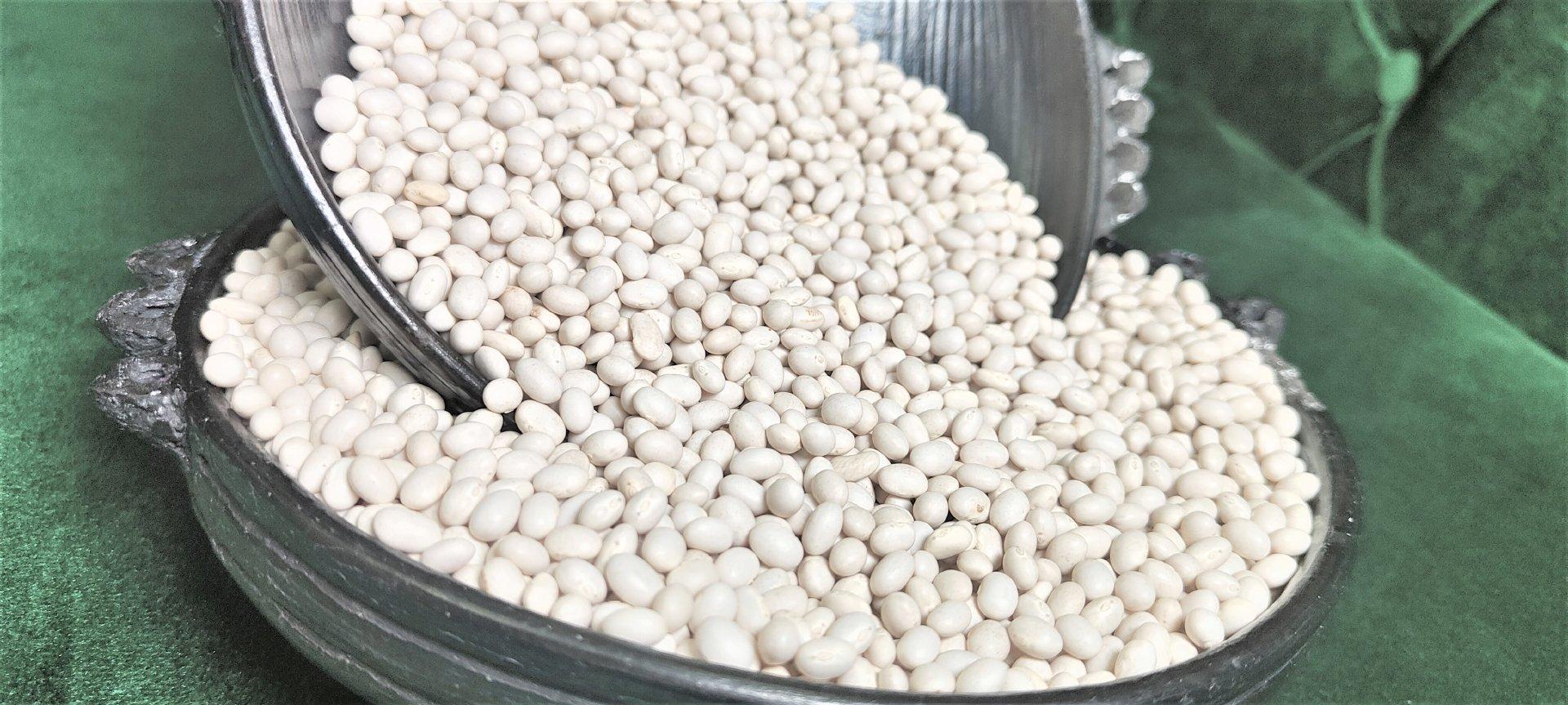 2024 Ethiopian Origin White Pea Beans Hand-Picked Round shape Wholesale Dried New Crop Available in Bulk Quantity