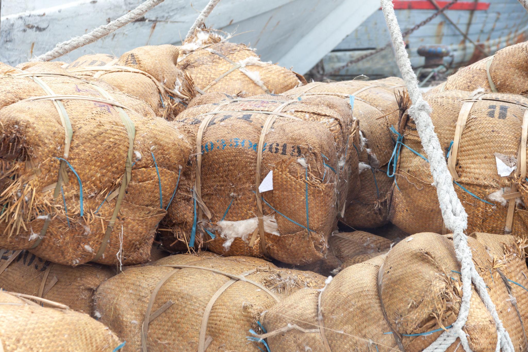 Cotton Hulls for Sale wholesale Shape round Grade grade a Packaging bales