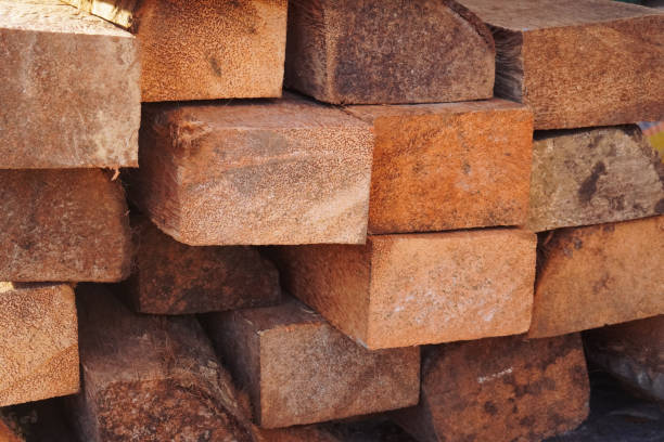 Top 4 Wood Suppliers in Ukraine in Quarter 3 of 2025: Urgent Market Update