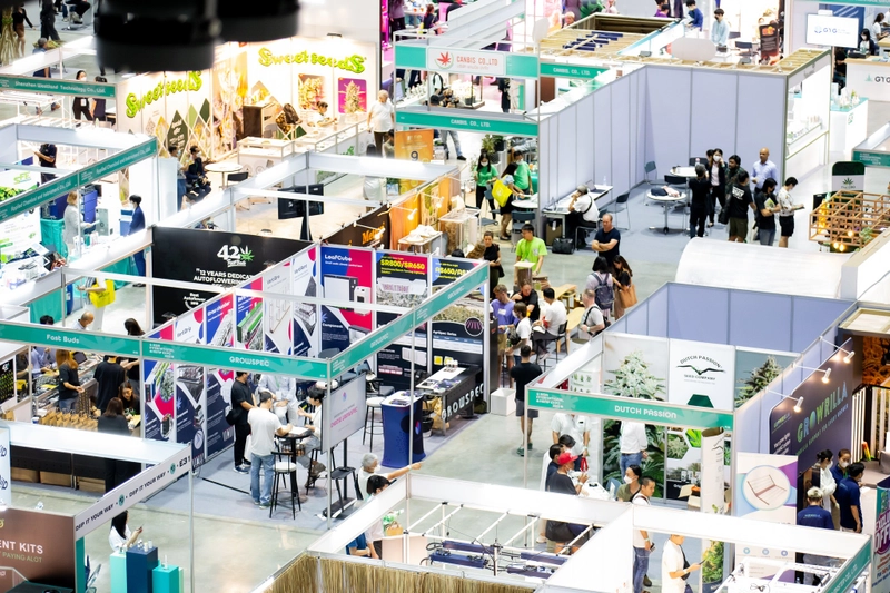 Why Asia International Hemp Expo Matters for B2B - 1