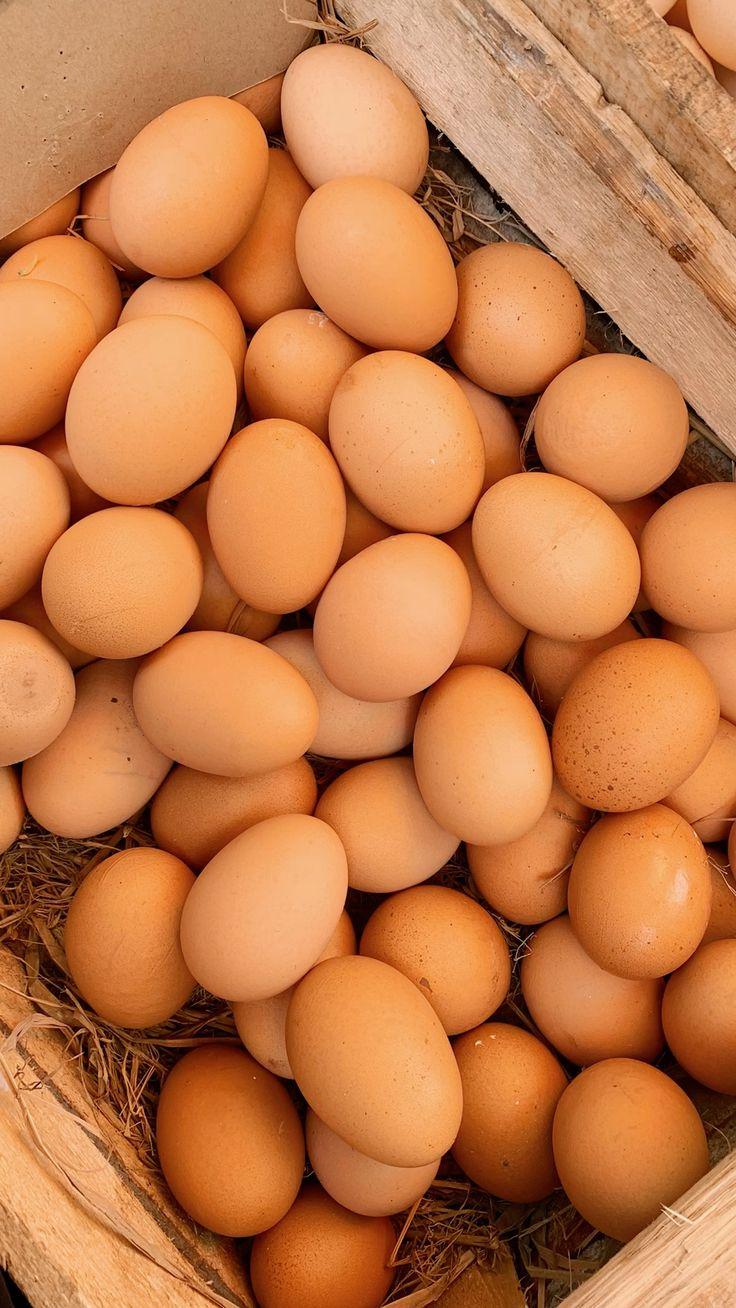 Rose Island Hatching Eggs Fertile Poultry Eggs For Incubation And Breeding For Sale