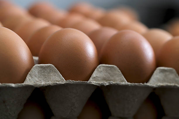 Top 4 Eggs Suppliers in United Arab Emirates in Quarter 3 of 2025