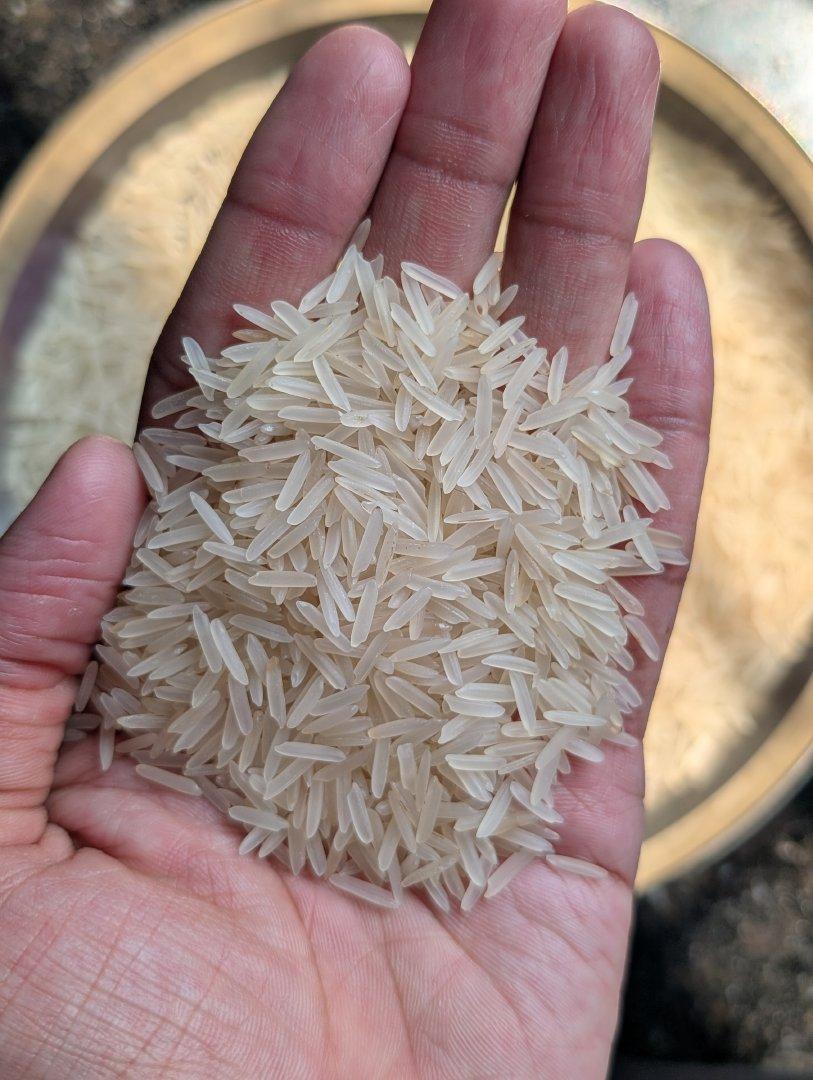 1509 White Sella Premium Basmati Rice