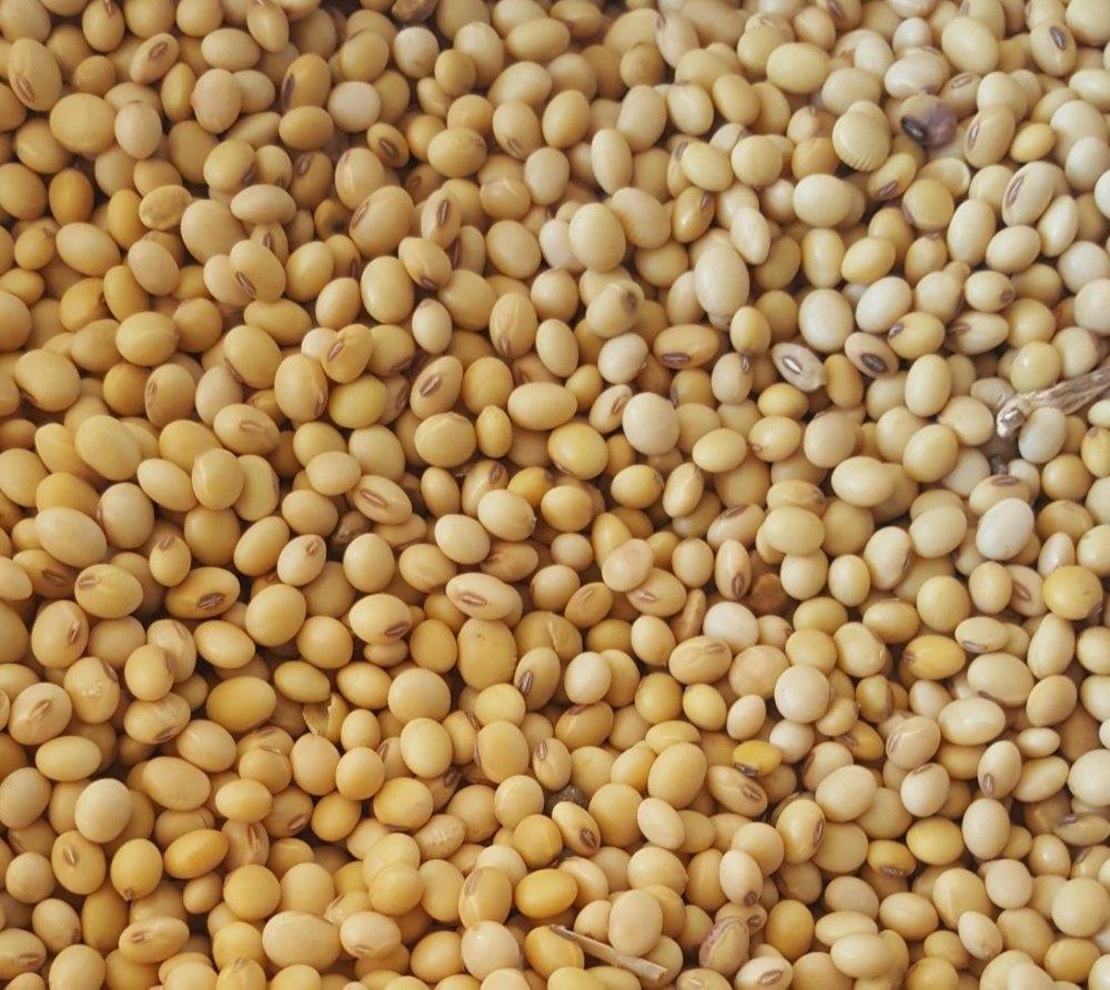 Pigeon Peas