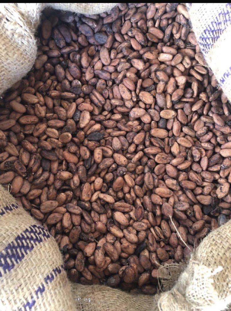 Cocoa Beans