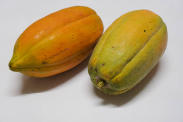 Your Expert Guide to Procuring Top-Tier Papaya: Top 4 Papaya Suppliers in United States in Quarter 3 of 2025