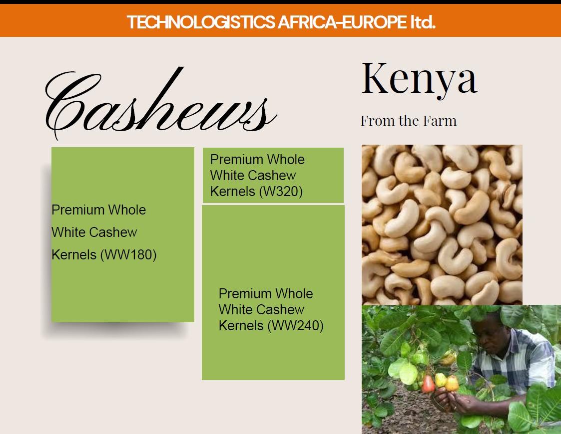 Cashews w240 Moisture Content Max 5% Condition Whole Cashew Nuts Nut Count Per Pound 220-240 Nuts Kernel Grade WW240 (AFI