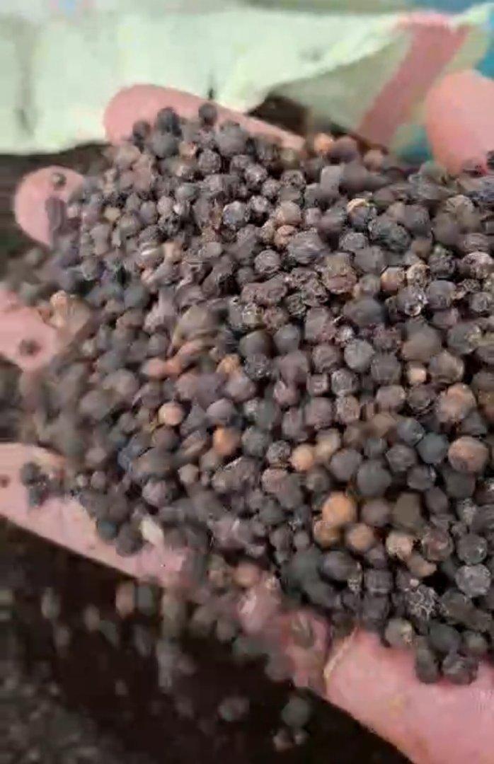 Blackpepper Form Whole Origin Indonesia Delivery Form Bag Features Fair Trade