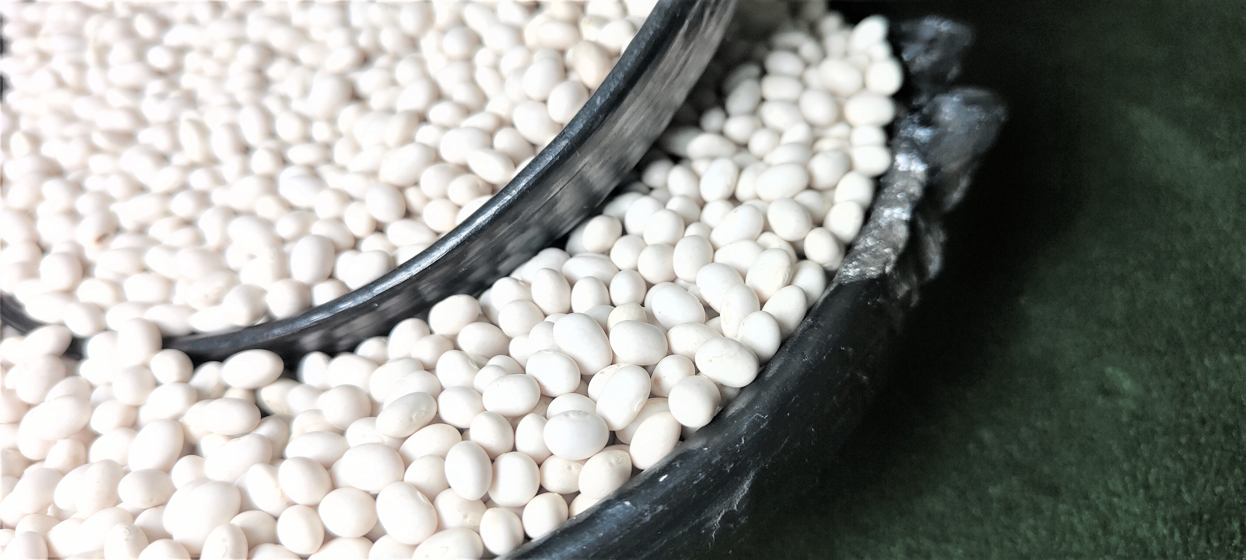 Ethiopian Origin New Crop 2024 White Pea Beans Wholesale Dried Handpicked and Polished Bulk Quality Kidney beans.