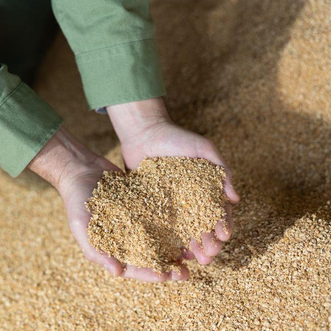 Top Quality Non Gmo Soybean Meal for Animal Feed