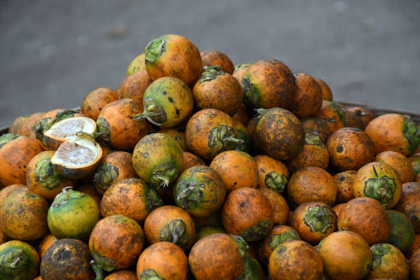 Your Expert Guide to Procuring Top-Tier Betel Nut: Top 8 Betel Nut Suppliers in Vietnam in Year 2025