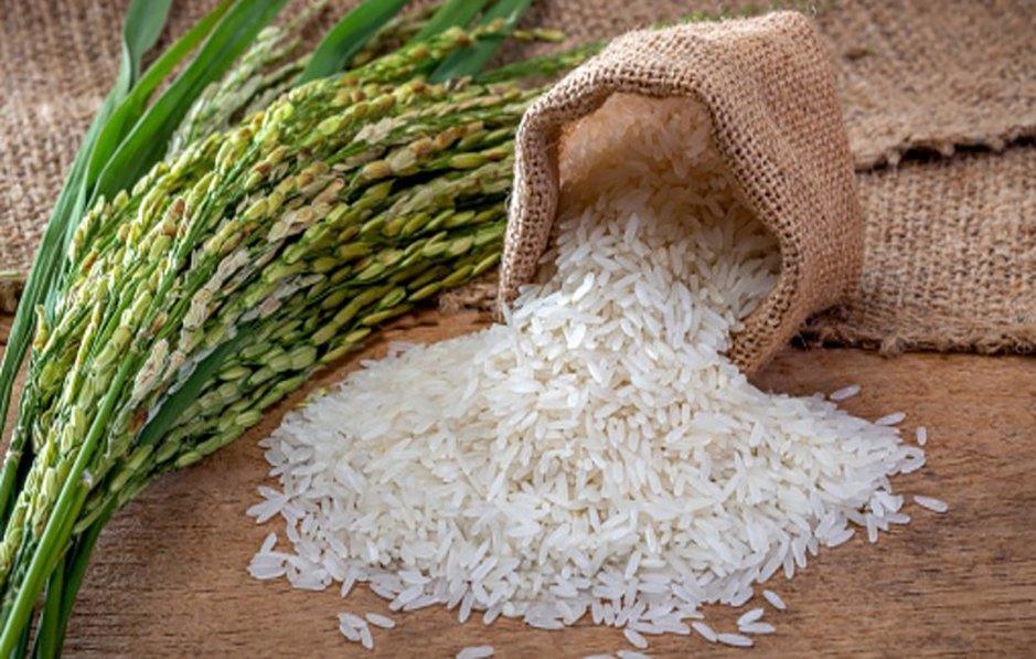 Premium Cooked Rice