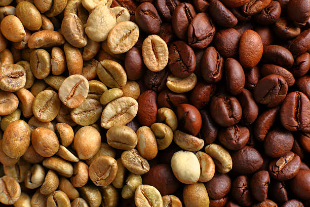 Top 6 Coffee Suppliers in Austria in Quarter 3 of 2025 — What Buyers Need to Know Now