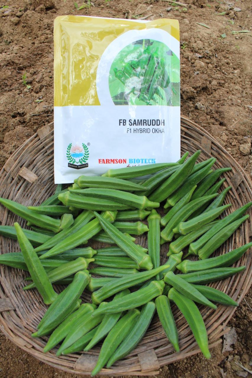 FB-SAMRUDDH F1 HYBRID OKRA SEEDS