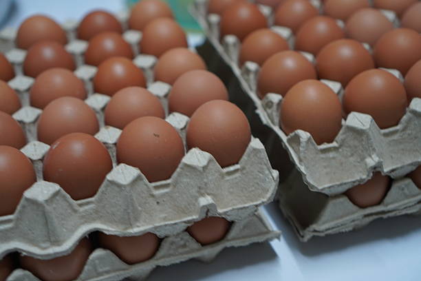 Top 4 Chicken Eggs Suppliers in Austria in Year 2025