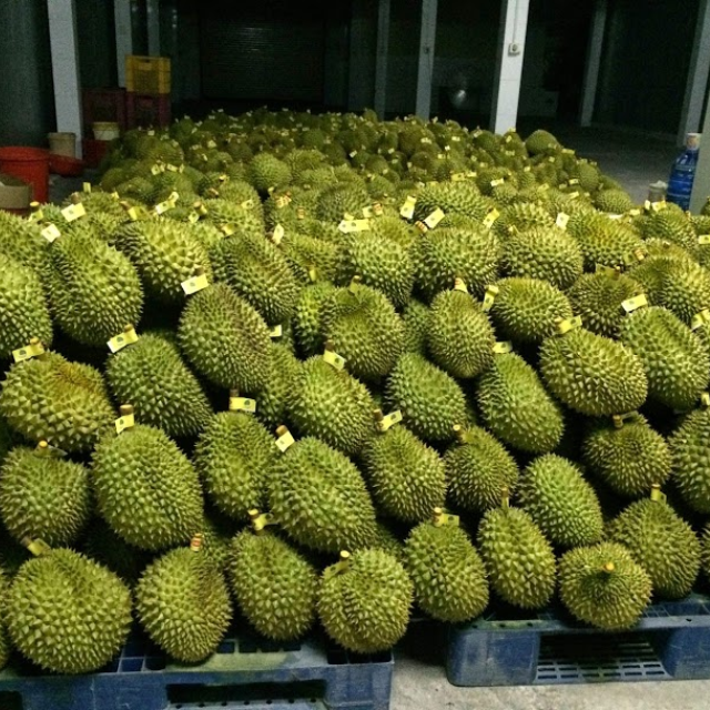 Frozen Durian Image 2