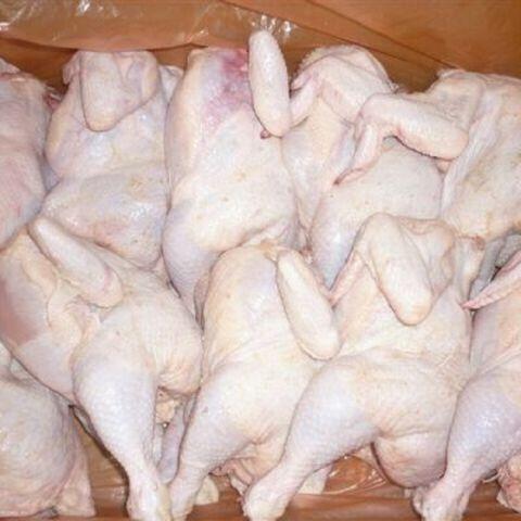 Frozen Meat Like Chicken Paws And Feet