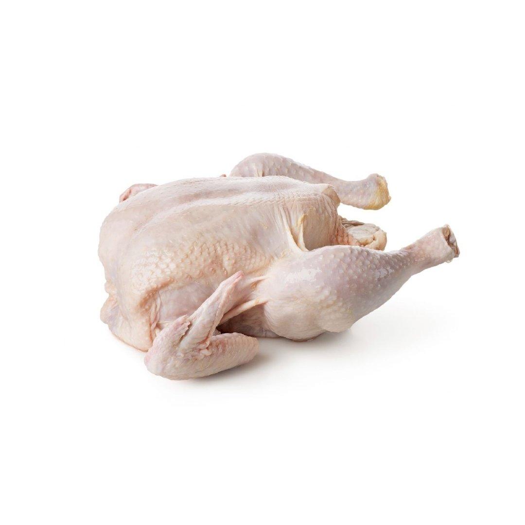 Whole Chicken Frozen / Halal Chicken Feet / Frozen Chicken Paws