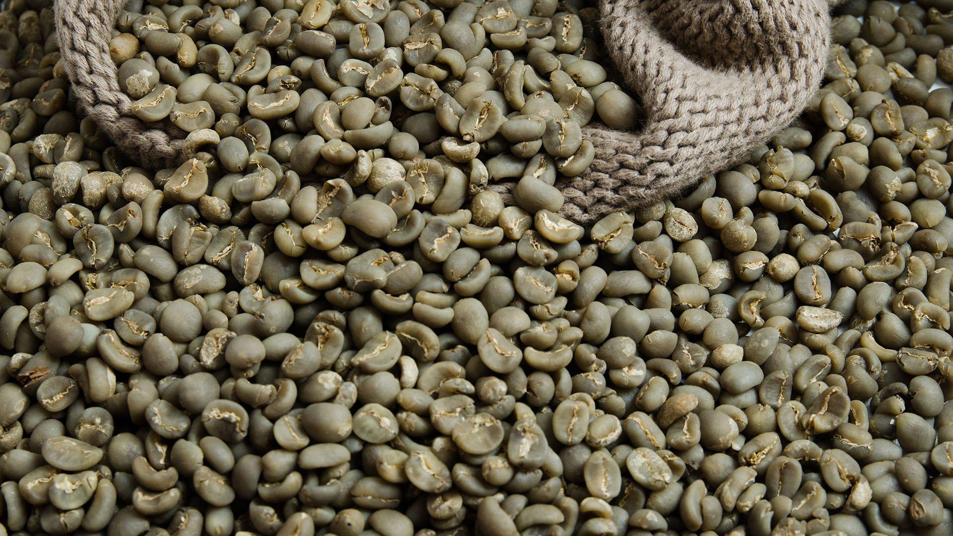 Meet the Top 3 Green Coffee suppliers in Poland