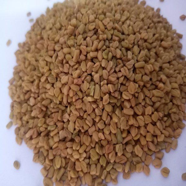 Premium Wholesale Fenugreek Seeds – Naturally Sourced, Carefully Cleaned, High-Quality Spice for Culinary, Medicinal, and Industrial Use, Packed for Bulk Supply, Ideal for Global Distribution, Ensuring Fresh Aroma, Strong Flavor, Consistent Grade, and Reliable Export Quality Standards for Food Manufacturers, Retailers, and Herbal Product Producers Worldwide with strict quality control and customizable packaging options available