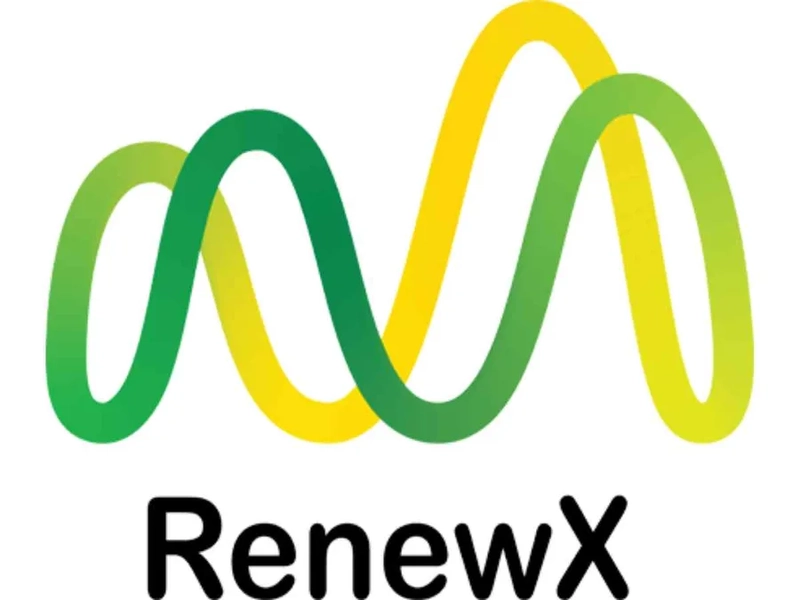 RenewX Spotlight: B2B Essentials