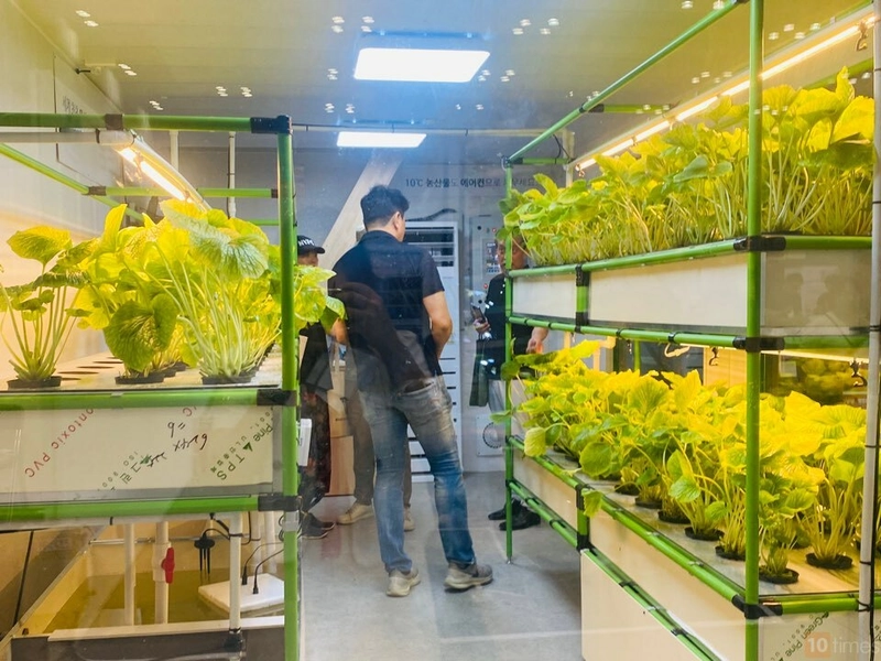 K-FARM Revealed: B2B Opportunity - 2