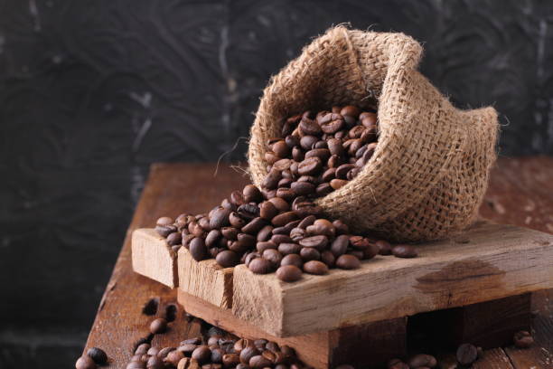 Top 4 Arabica Coffee Suppliers in India in Year 2025