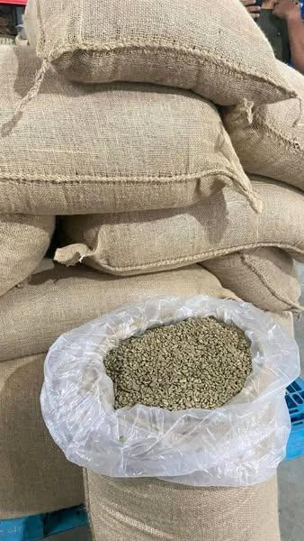 Arabica Beans - 3