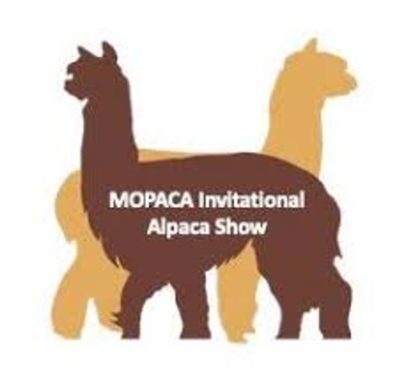 Mopaca Invitational Alpaca Show Revealed: B2B Opportunity