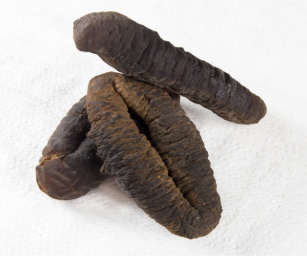 Best selling Dried Sea Cucumber for sale Sea Cucumber Dry Sea Cucumber