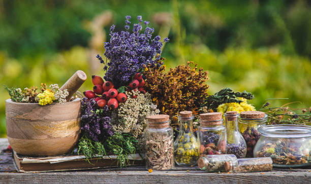 A Comprehensive Guide to Sourcing High-Quality Herbal Products: Top 9 Herbal Products Suppliers in Belgium in Quarter 3 of 2025