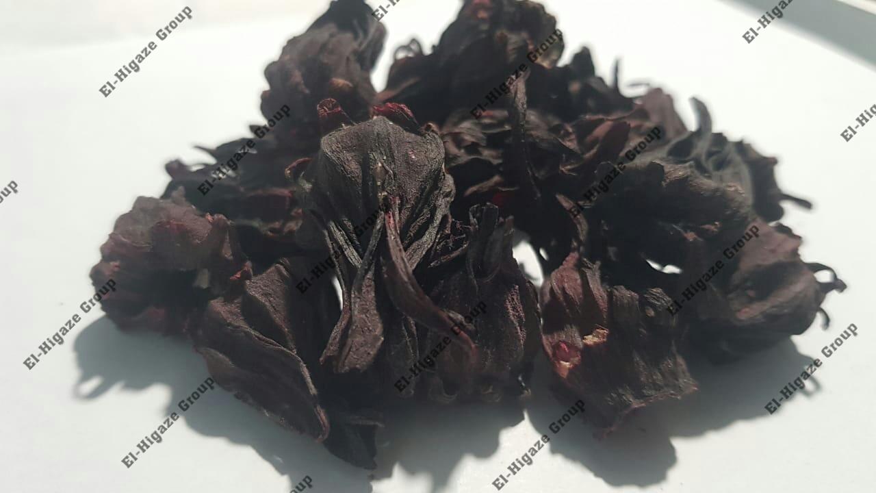 Top 7 Hibiscus suppliers in Egypt — 7 Capabilities Reviewed - 6
