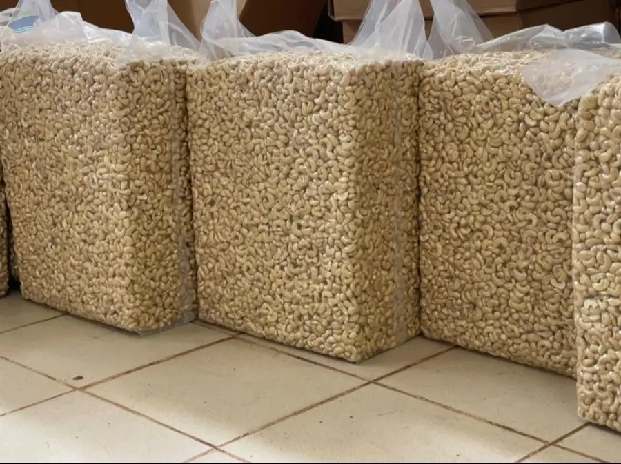 Top 4 Verified Cashew Nuts suppliers in Kenya Worth Knowing - 1