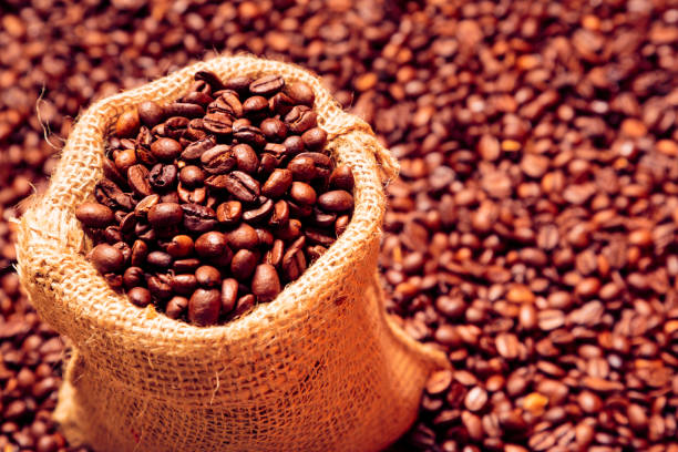 Top 4 Coffee Beans Suppliers in South Africa in Quarter 2 of 2025