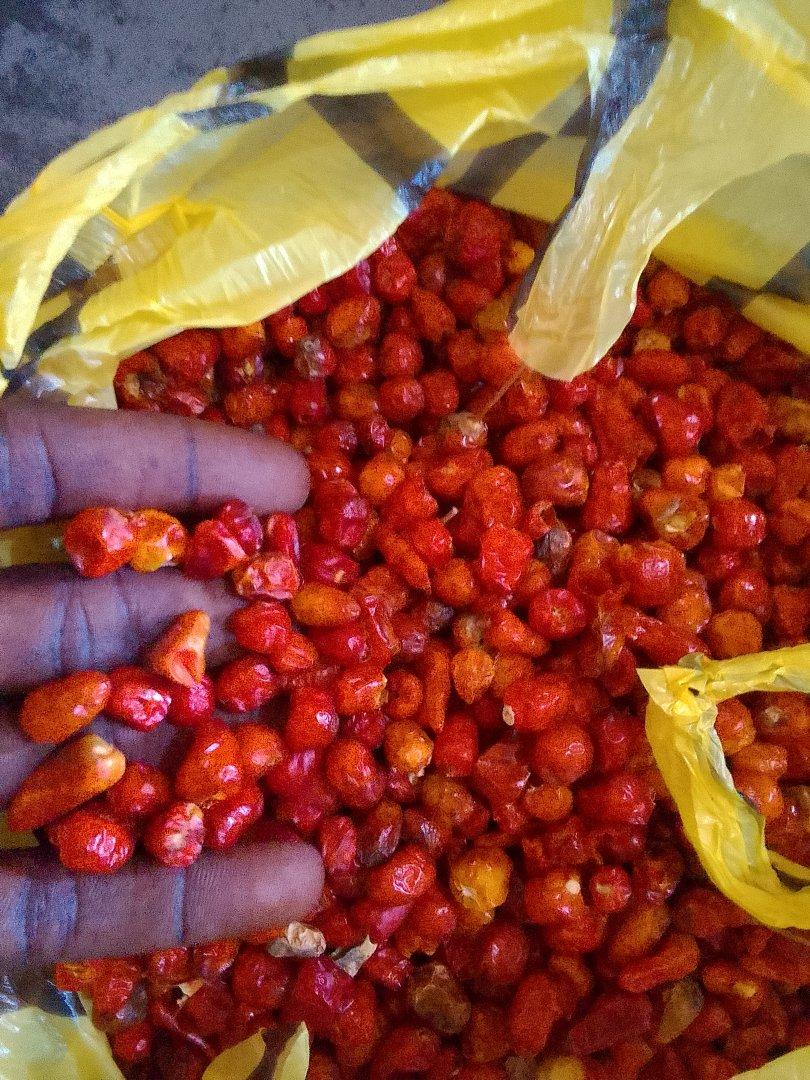 Dried Red Chili Bird Eye