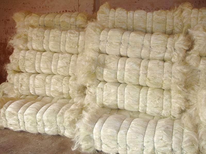 Grade A Quality Sisal Fiber