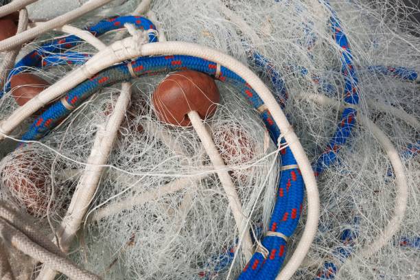 Top 5 Fishing Nets Fishing Rods Fishing Tackles Baits Suppliers in Bangladesh in July 2025