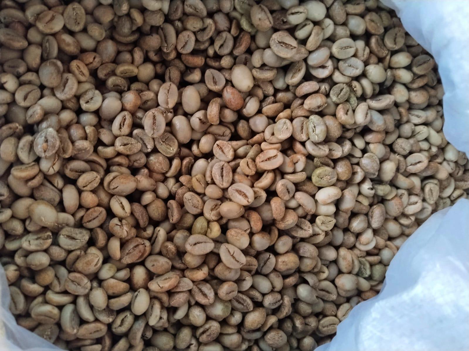 Kacang Kopi