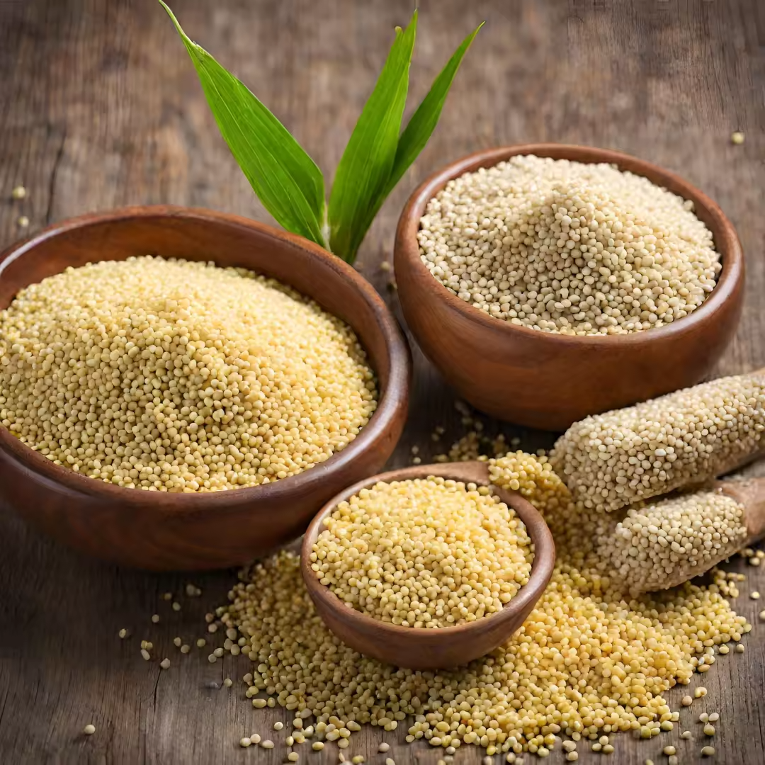 High Quality Millet Seeds For Cooking Baking And Wholesome Food Production With Fresh Natural Taste
