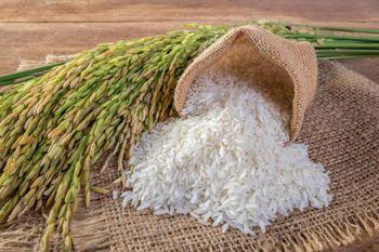 Top United Arab Emirates Basmati Rice Suppliers -- 10 Capabilities Reviewed - 10