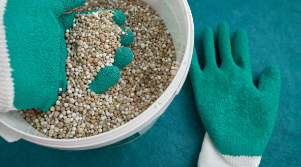 Top 4 Fertilizer Suppliers in Spain in May 2025: A Current Market Outlook