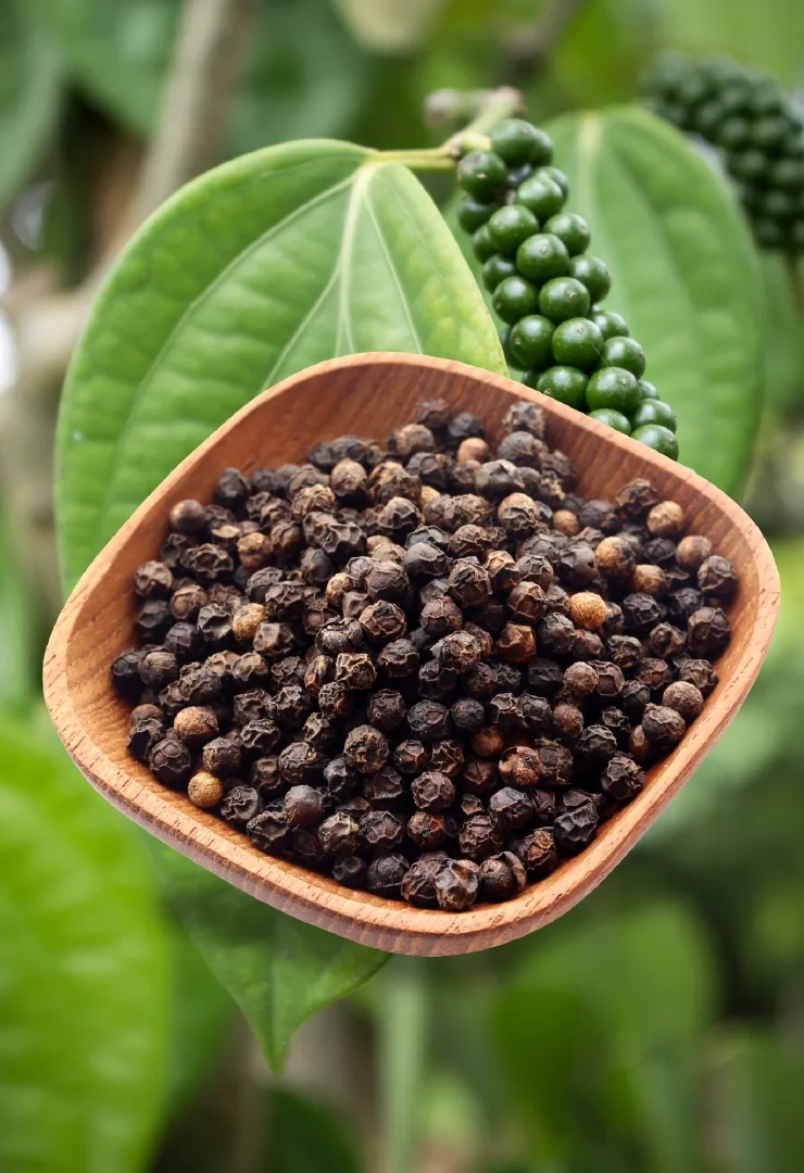 Kerala Black Pepper