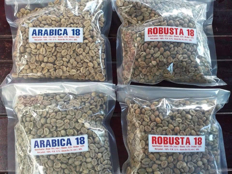 Discover the Top 7 Arabica Coffee suppliers in Kenya