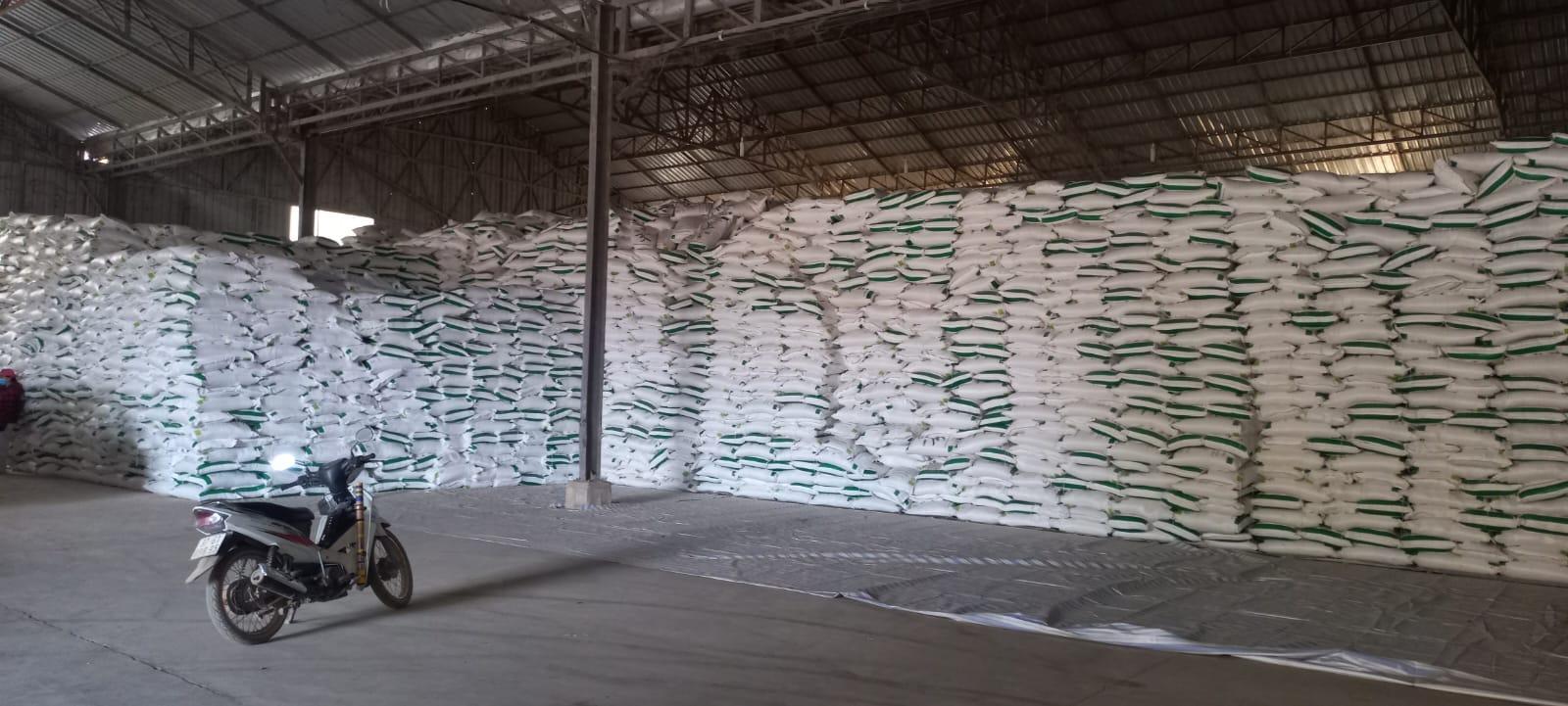 Arrowroot Starch, Canna Starch