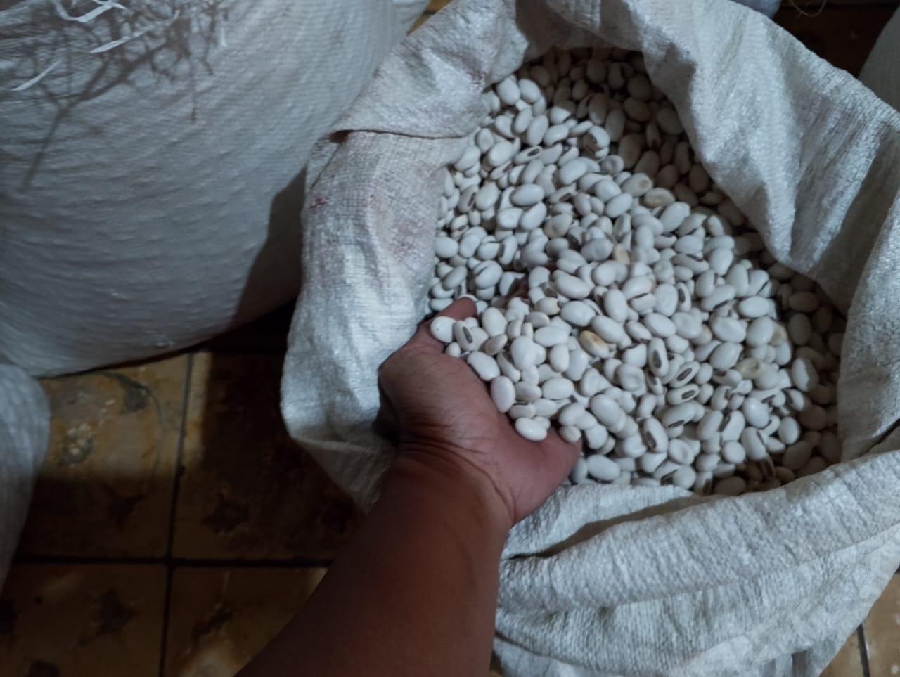 Meet the Top 3 Kidney Beans suppliers in Indonesia - 2