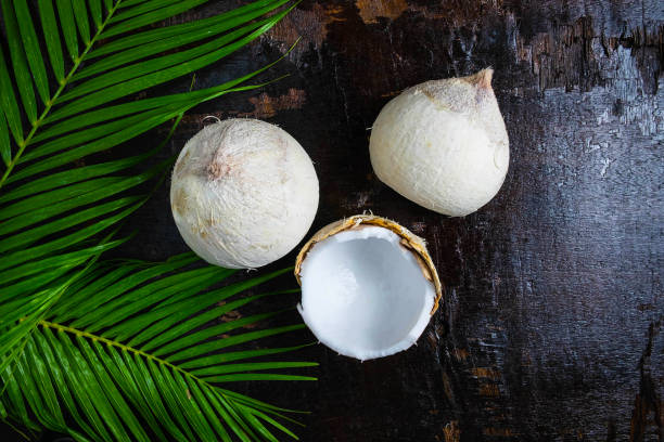 Top 10 Coconut By Products Suppliers in Pakistan in Year 2025