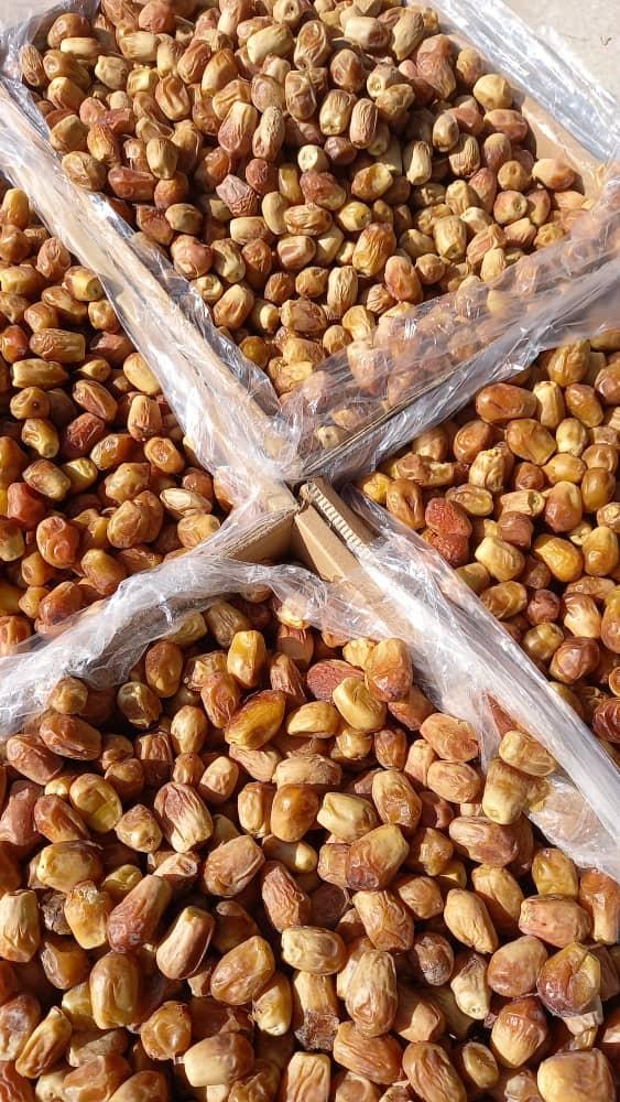Packed Dates