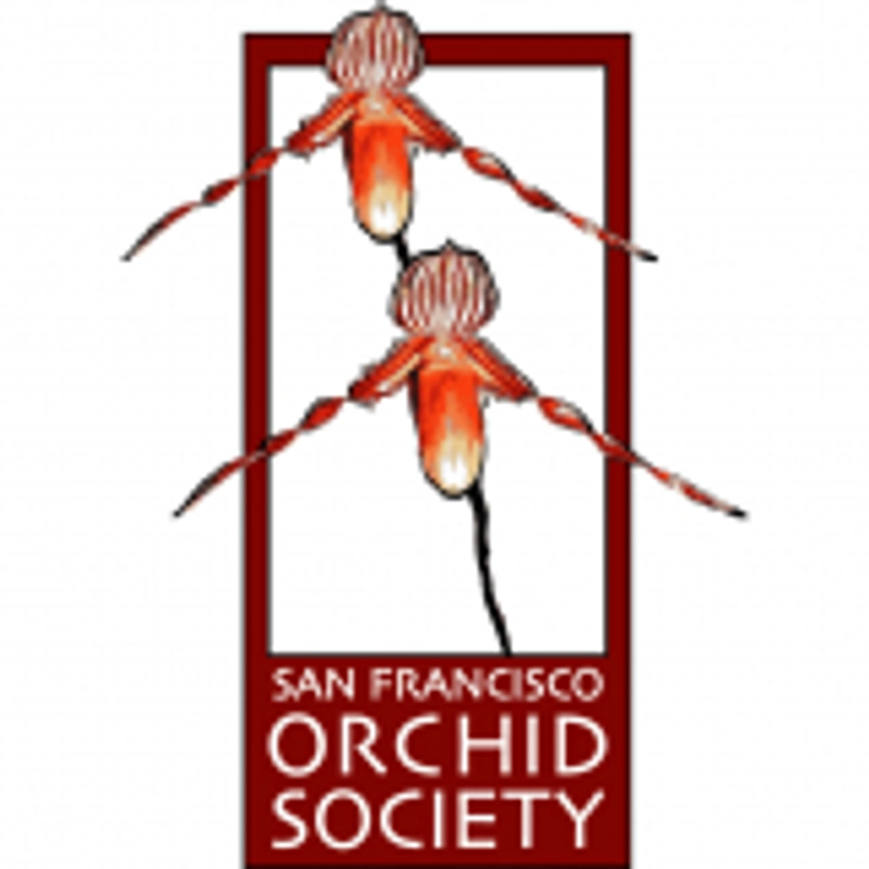 Unlock Pacific Orchid Exposition: Must-Know B2B Event