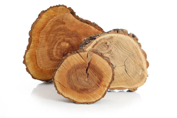 A Comprehensive Guide to Sourcing High-Quality Wood: Top 4 Wood Suppliers in Vietnam in Year 2025